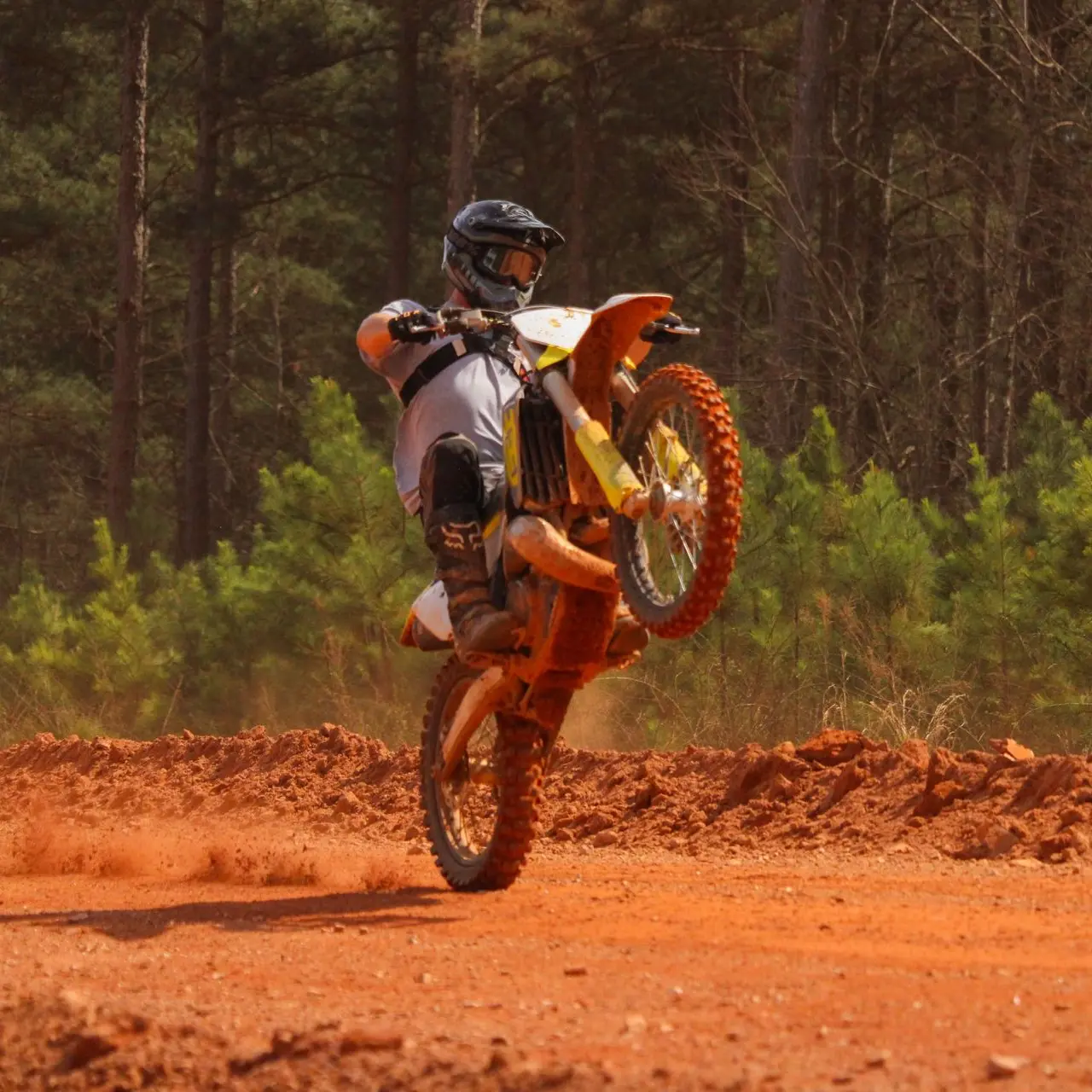 Yellow dirt bike doing a wheelie through pine forest trail.